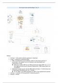 Samenvatting onderwijsmateriaal FABA304 Oncologie