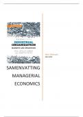 Managerial Economics (D0H52a) - samenvatting (nieuwe prof) (16/20)