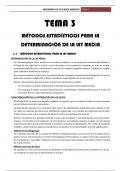 Tema 3 - Métodos estadísticos para la determinación de la ley media