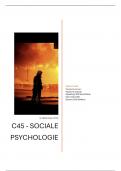 Essay C45 Sociale Psychologie (beoordeeld met een 8)