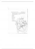 BIO 202 Heart Dissection Assignment 