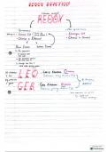 Redox Reaction