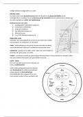 Samenvatting Cariologie en restauratieve mogelijkheden Mondzorgkunde jaar 2.2