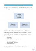 Human Circulatory system