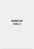 APUNTES CIVIL II: DERECHOS Y OBLIGACIONES CONTRACTUALES