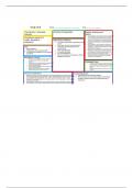 NSG 124 Adrenergic Agonists Drug Card Template 