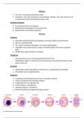 A summary on Mitosis