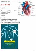 Samenvatting Het Hart - uit: Anatomie en fysiologie, 8e Martini + oefentoets + kernbegrippen uitgelegd + Latijnse woorden - Nieuw 2025