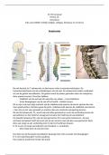 Samenvattingen thema 13 Cervicaal/Thoracaal/Lumbaal - Hogeschool Rotterdam Fysiotherapie