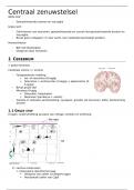 Centraal zenuwstelsel - stelselmatige weefselleer