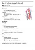 gastro-intestinaal stelsel - stelselmatige weefselleer