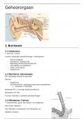 gehoororgaan - stelselmatige weefselleer