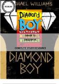 GRADE 11 - ENGLISH - DIAMOND BOY (STUDY GUIDE)