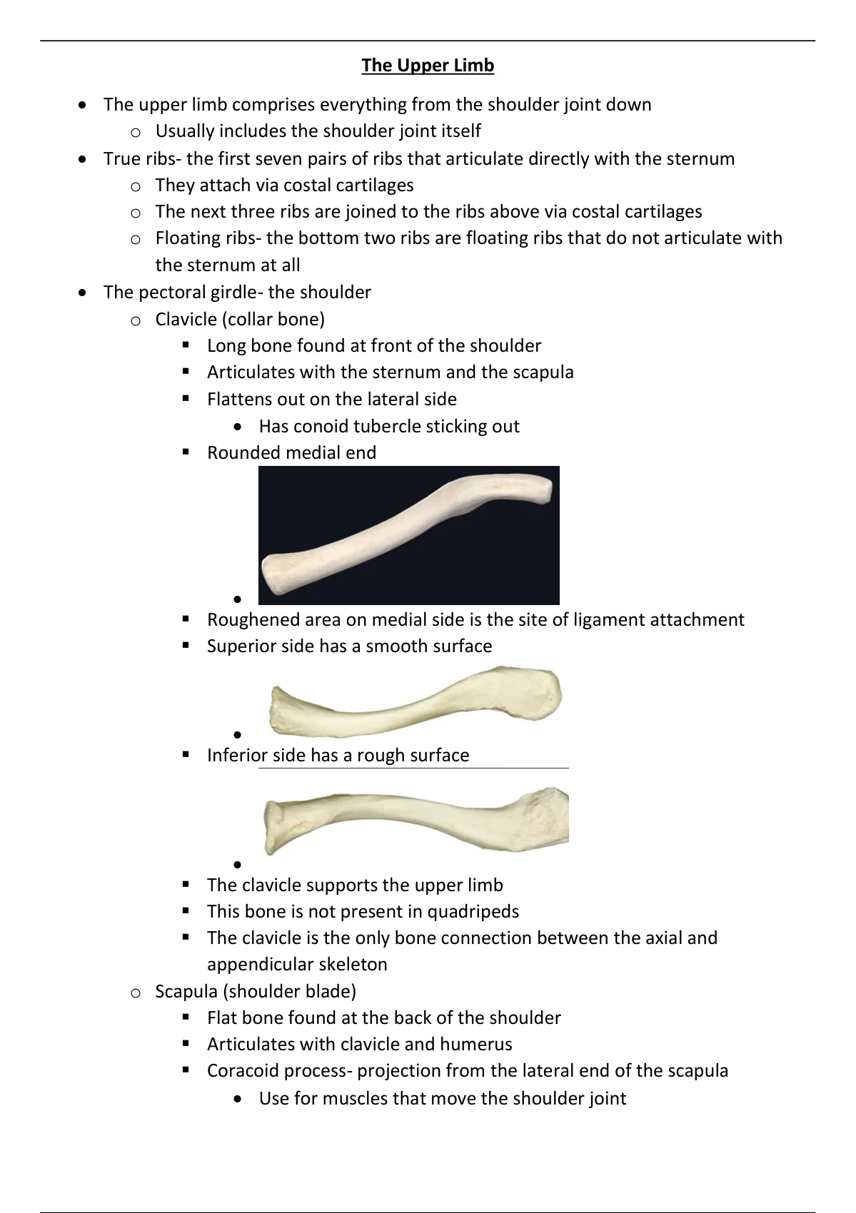 Pectoral girdle and upper limb: overview and surface anatomy
