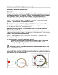 Samenvatting NatuurOnderwijs Inzichtelijk hoofdstuk 3 - 6