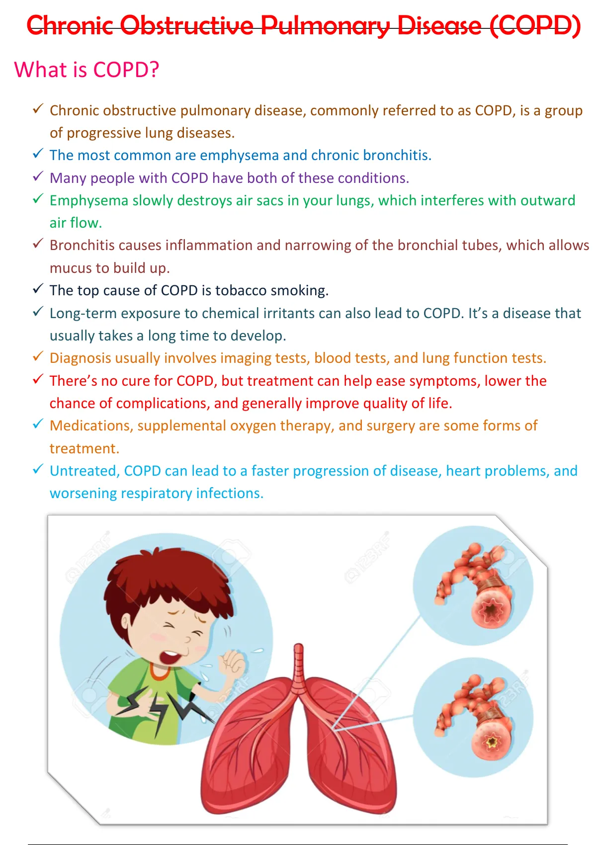 Summary Respiratory System (COPD)! - Respiratory System - Stuvia US