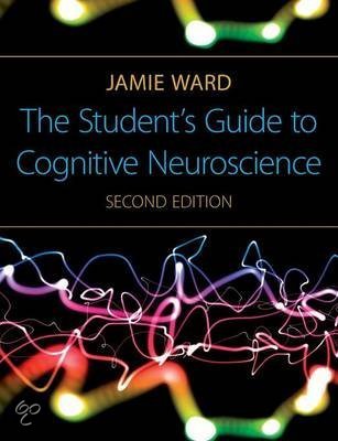 Cognition and Neuroscience - The dorsal visual system for spatial processing