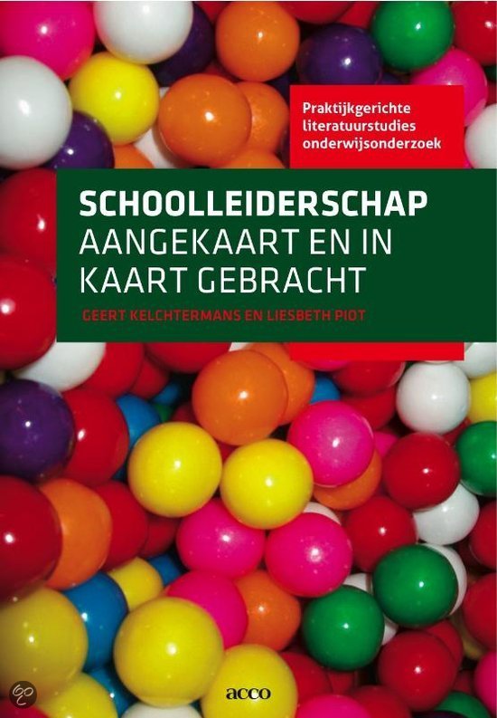 Praktijkgerichte literatuurstudies onderwijsonderzoek 3 - Schoolleiderschap aangekaart en in kaart gebracht