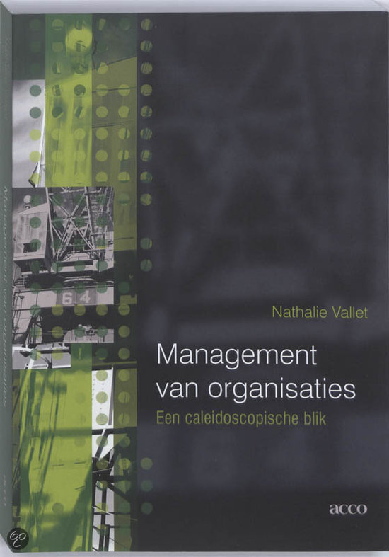 Samenvatting Management en Organisatie