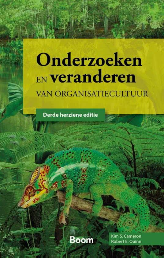 Samenvatting Onderzoeken en veranderen van organisatiecultuur