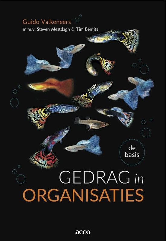 Gedrag in organisaties van Valkeneers.