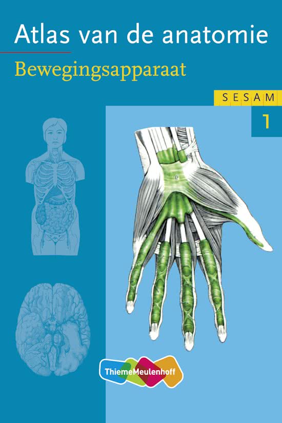 Samenvatting Anatomie A Jaar 2 Periode 5 (2112BA213A)