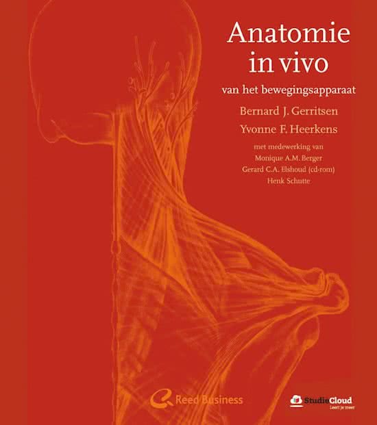 ABA - Been - Articulatio en Ligamenten uitgewerkt - Voet