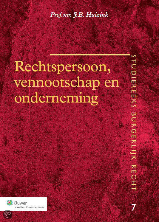 Rechtspersoon, vennootschap en onderneming