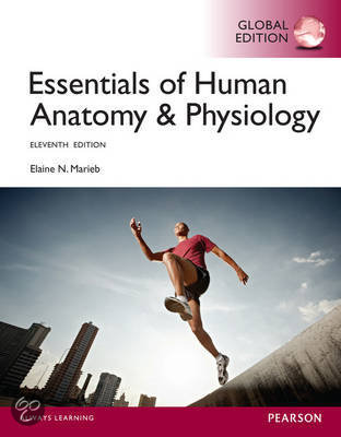 Essentials of Human Anatomy & Physiology, Global Edition