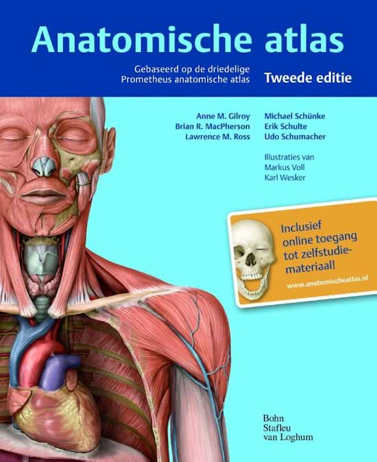 Samenvatting anatomie in VIVO met afbeeldingen, spieren, zenuwen innervatie