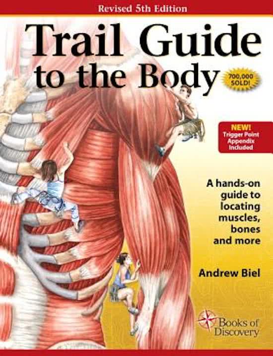 Anatomie spieren schouder en nek