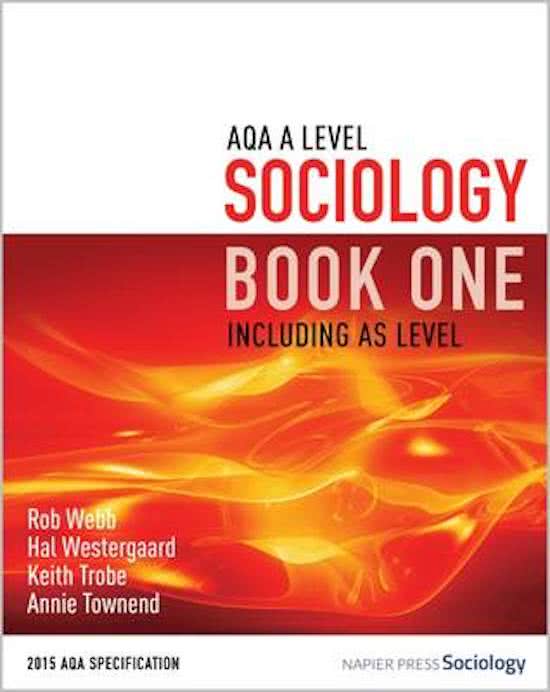 AQA Sociology  A* A level Ethnic Differences in Achievement (Internal) Essay Plans Education (New Spec) 