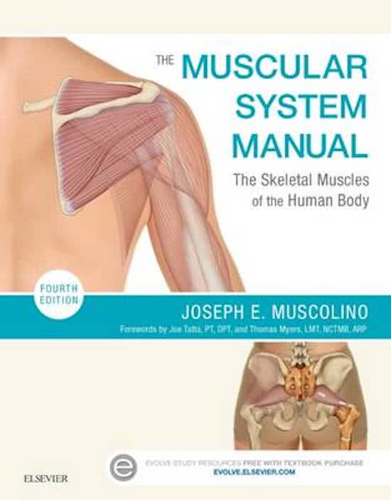 Class Notes (Summary) of Muscular System I Anatomy and Physiology I League of Nursing Legends