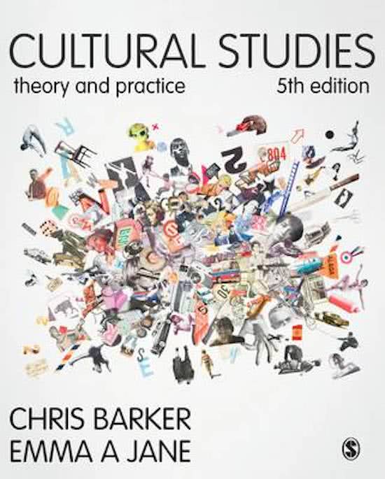 Cultural Studies Year 1 International Studies lecture notes