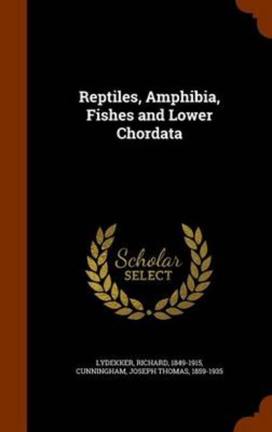 Reptiles, Amphibia, Fishes and Lower Chordata