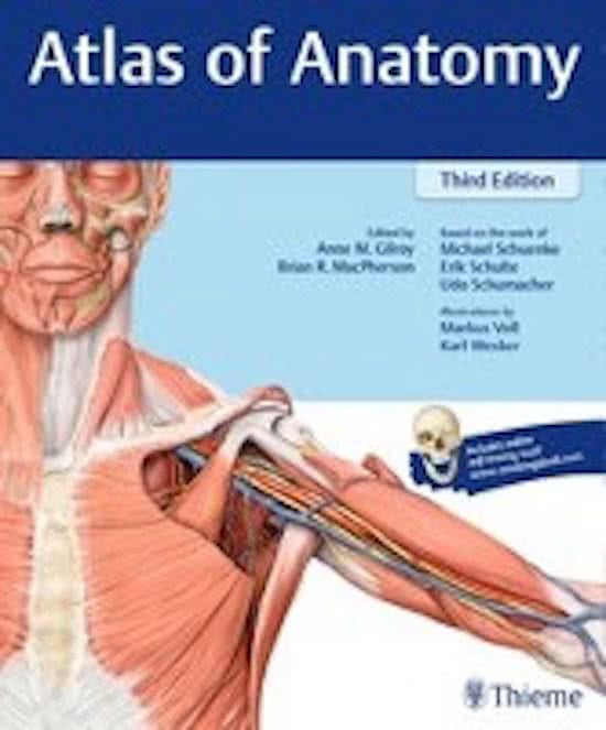 Samenvatting anatomie in vivo blok 1.4